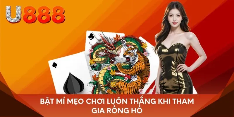Bật mí mẹo chơi luôn thắng khi tham gia Rồng Hổ