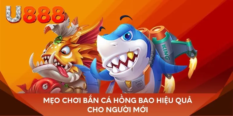 Mẹo chơi bắn cá hồng bao hiệu quả cho người mới